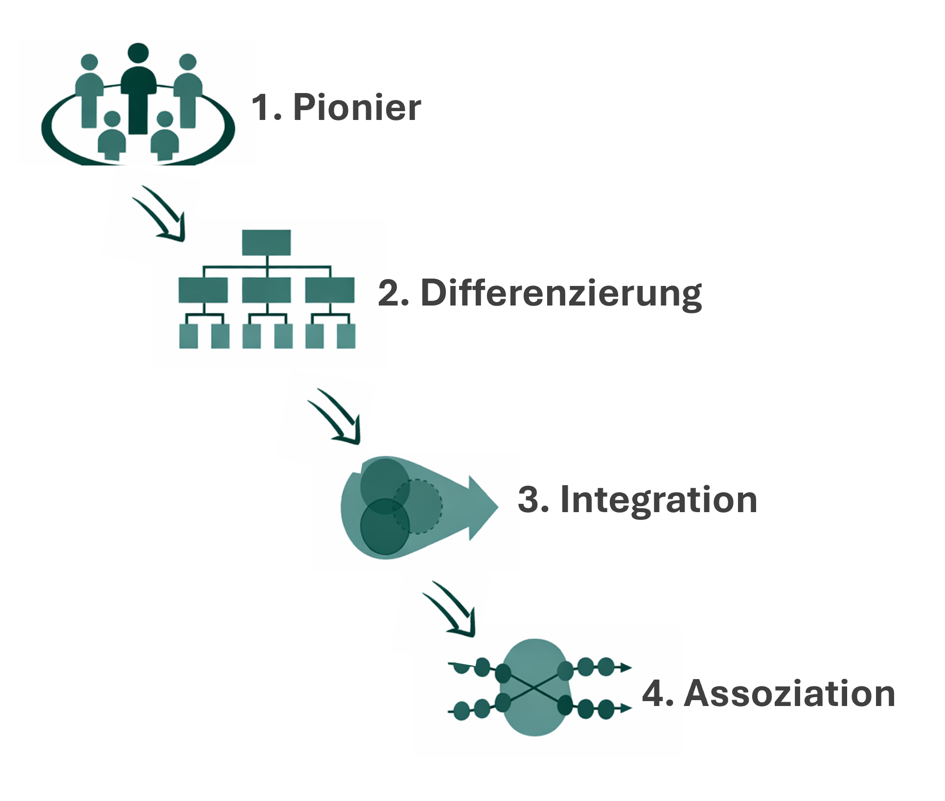 Entwicklungsphasen in der Organisationsentwicklung und Organisationsberatung