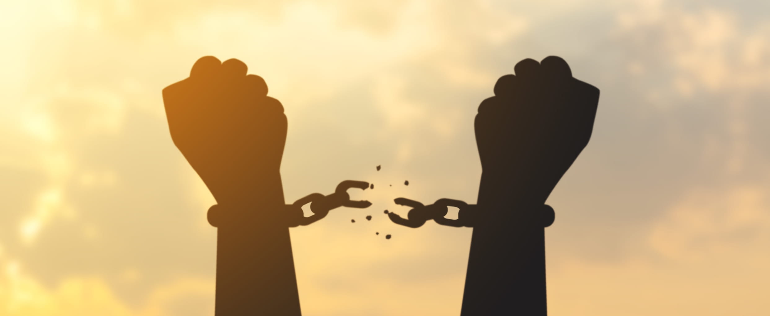 systemische Organisationsberatung mit Coachingwerk Köln 